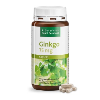 Viên nang bạch quả hỗ trợ thần kinh Ginkgo Capsules 75mg 240 viên